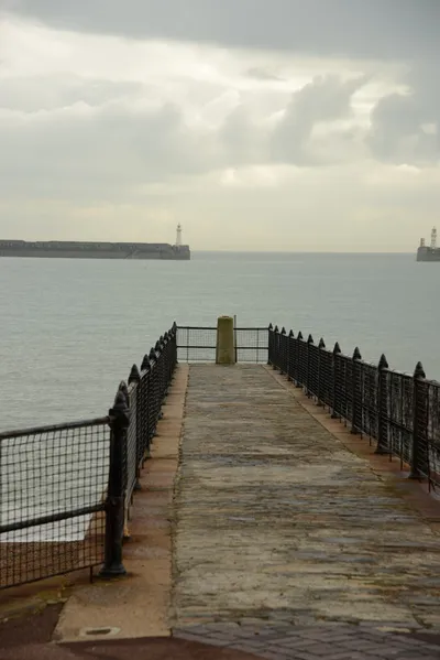 DSC_1288 (Large).JPG